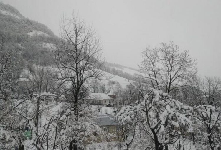 Hava proqnozu: Dağlıq ərazilərdə qar yağacağı ehtimalı var