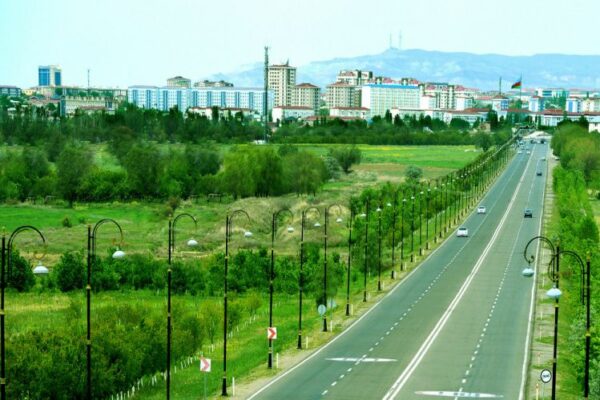 Naxçıvanda könüllü ağacəkmə aksiyası keçiriləcək