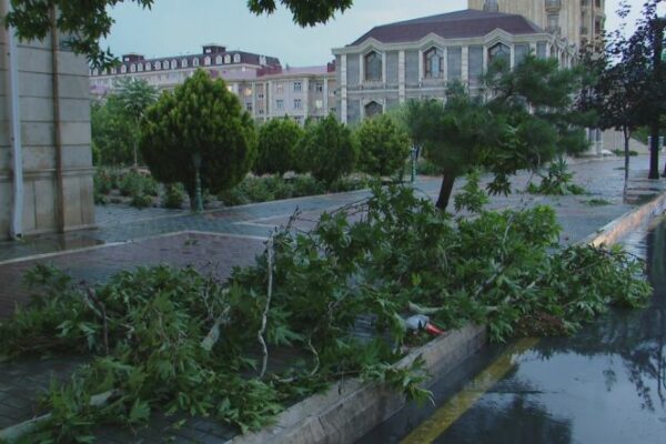 Ötən gün Naxçıvanda düşən dolunun diametri 6 mm olub