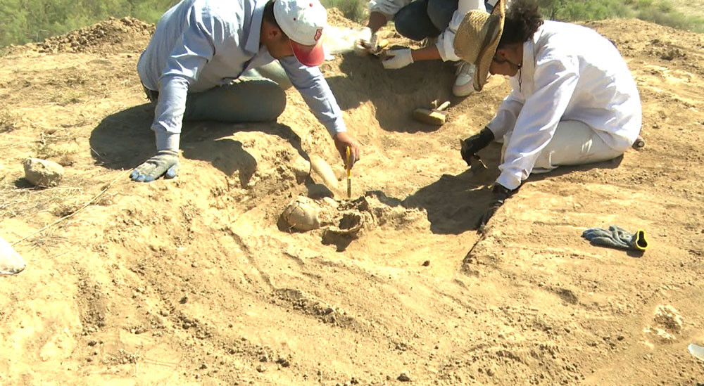 Tumbultəpə yaşayış yerində arxeoloji qazıntı aparılır