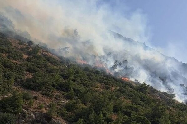 Türkiyədə meşə yanğınları 36 saatdan çoxdur davam edir