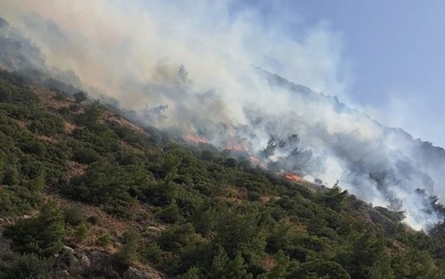 Türkiyədə meşə yanğınları 36 saatdan çoxdur davam edir