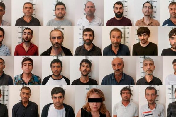Bakıda çətənə kollarının kultivasiyası ilə məşğul olan şəxslər saxlanılıb