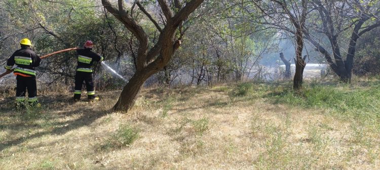 Şahbuz rayonunun Kolanı kəndində ümumi sahəsi 1000 m² olan quru otluq sahə tamamilə yanıb