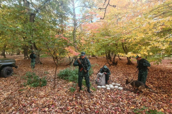 İrandan Azərbaycana 19 kiloqrama yaxın narkotik keçirilməsinin qarşısı alınıb