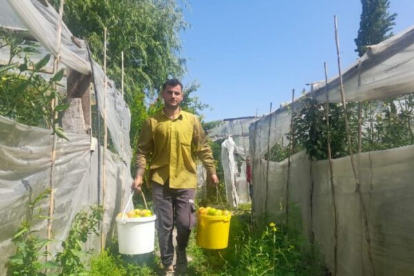 Müharibə iştirakçısı iş tapa bilmir: “Adamı həyatından bezdiriblər”