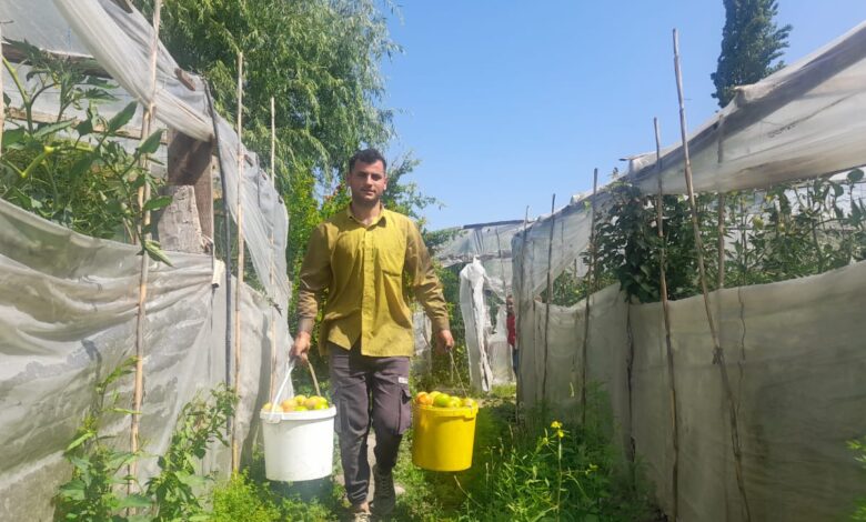 Müharibə iştirakçısı iş tapa bilmir: “Adamı həyatından bezdiriblər”