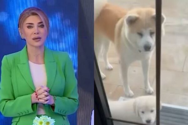 Xoşqədəm efirdə ağladı: “Gəldim ki,…”