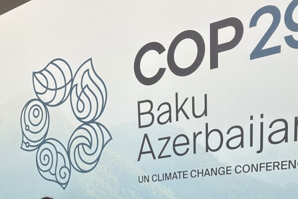 “COP 29” ərəfəsində: Hökumət yumşalmaya gedəcəkmi?