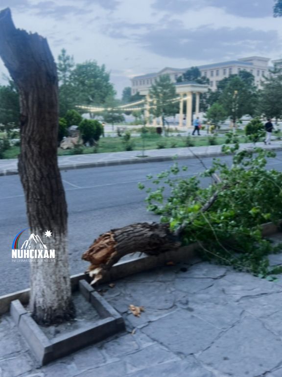 Naxçıvanda güclü külək rabitə infrastrukturuna ziyan vurub