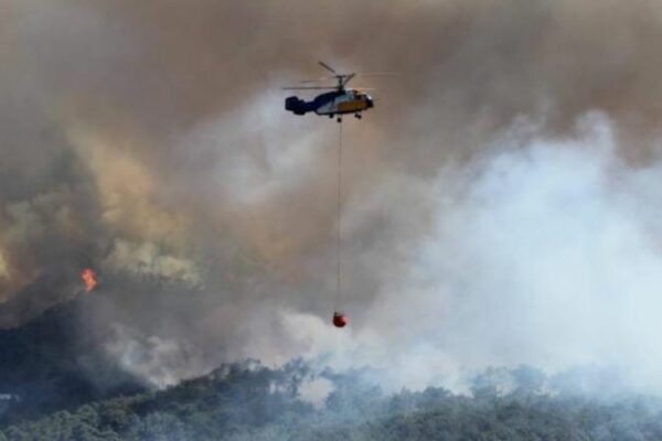 Türkiyədə meşə yanğınları ilə mübarizəyə 105 helikopter, 26 təyyarə və 14 PUA cəlb edilib