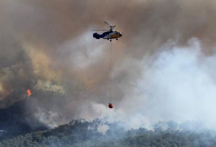 Türkiyədə meşə yanğınları ilə mübarizəyə 105 helikopter, 26 təyyarə və 14 PUA cəlb edilib