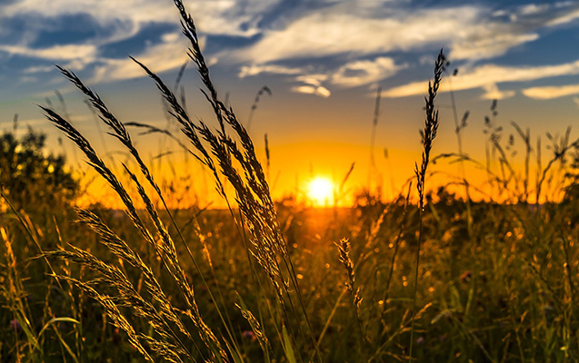 Həftəsonu hava düzələcək, temperatur yüksələcək