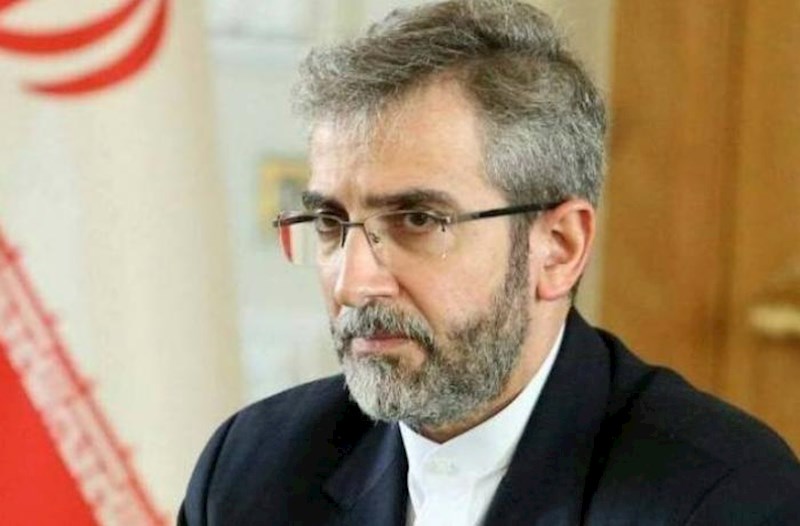 “BMT Təhlükəsizlik Şurasının reaksiya verməməsinə görə İsrailə cavab verəcəyik” – Kani