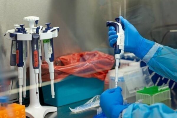 Afrikada meymunçiçəyi epidemiyası sürətlə yayılır