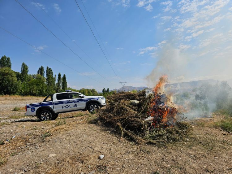 Naxçıvanda 8 tona yaxın çətənə kolu məhv edilib