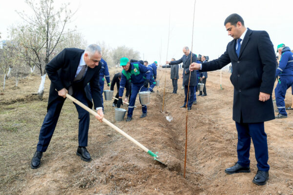 Naxçıvanda Ümummilli Lider Heydər Əliyevin xatirəsinə ağacəkmə aksiyası keçirilib