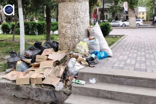 “Göyçayda əksər küçələri zibil və pis qoxu bürüyüb”