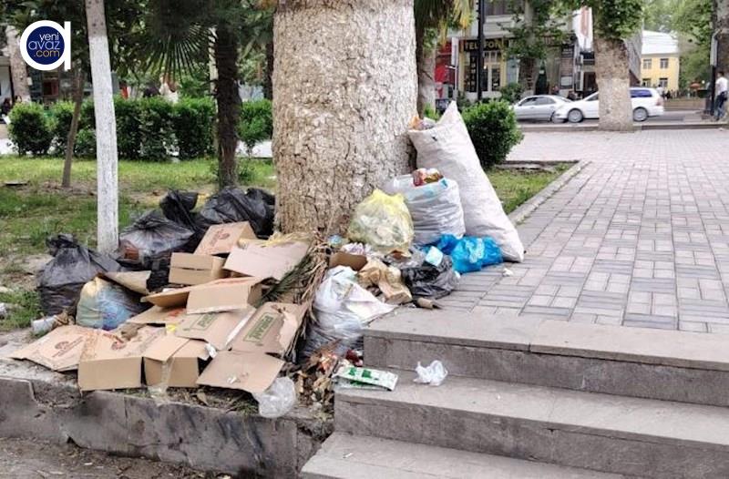 “Göyçayda əksər küçələri zibil və pis qoxu bürüyüb”