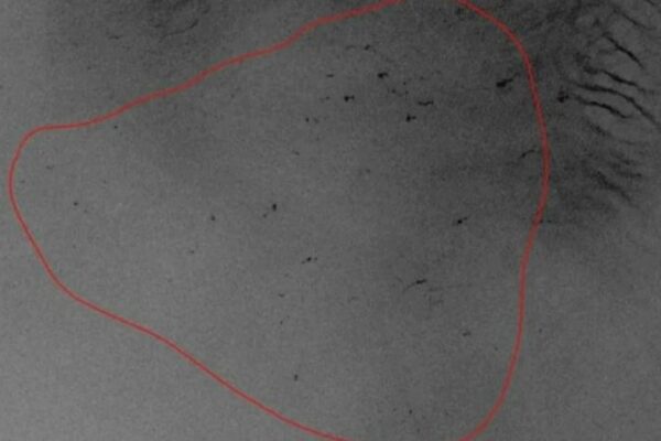 Apreldə 15 neft ləkəsi aşkar edilib – Xəzərdə ekoloji təhlükə artır