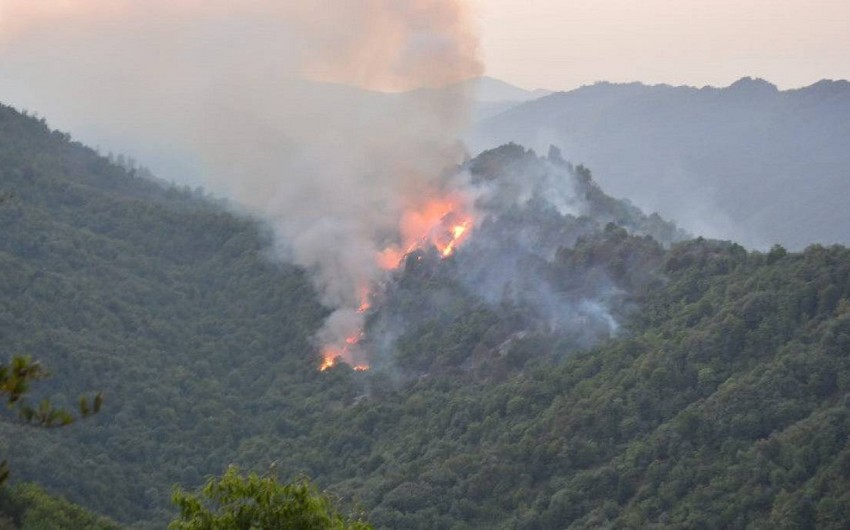 Laçında meşə yanır