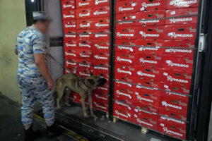 Azərbaycan gömrükçüləri 30 kiloqramdan artıq narkotik vasitə aşkar ediblər