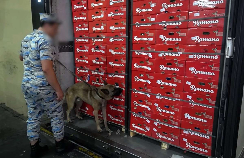 Azərbaycan gömrükçüləri 30 kiloqramdan artıq narkotik vasitə aşkar ediblər